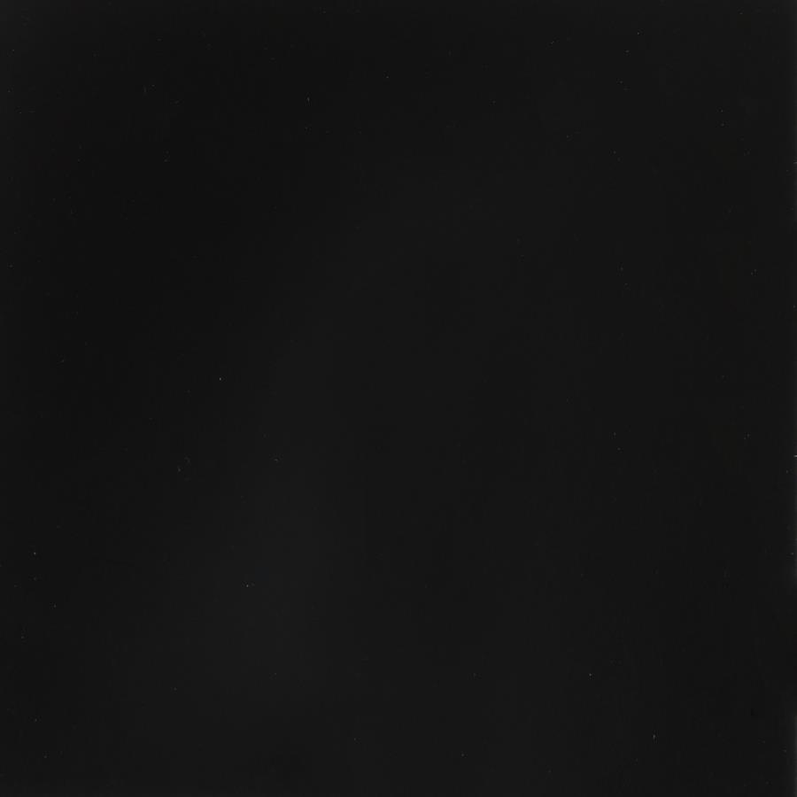 Eden Metal Twin Pop Up Trundle Bed Black