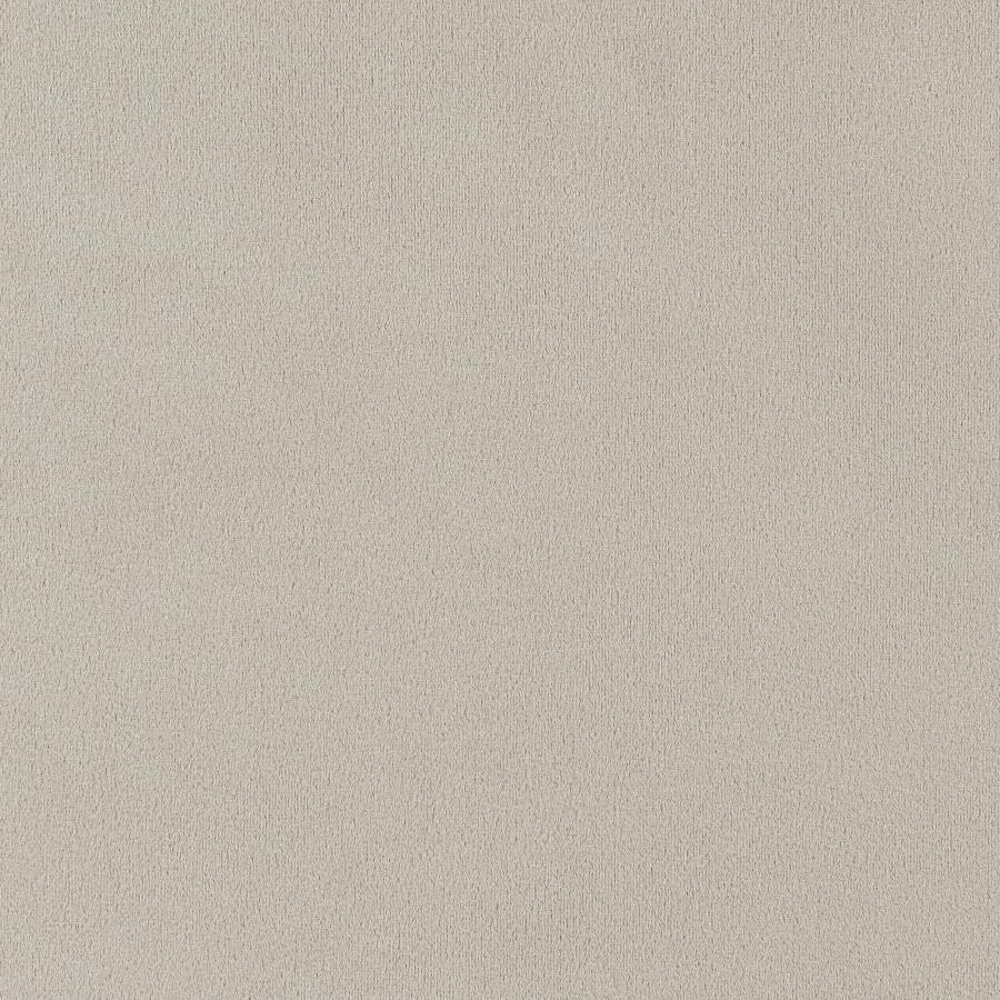 Alana Velvet Upholstered Dining Side Chair Sand (Set of 2)