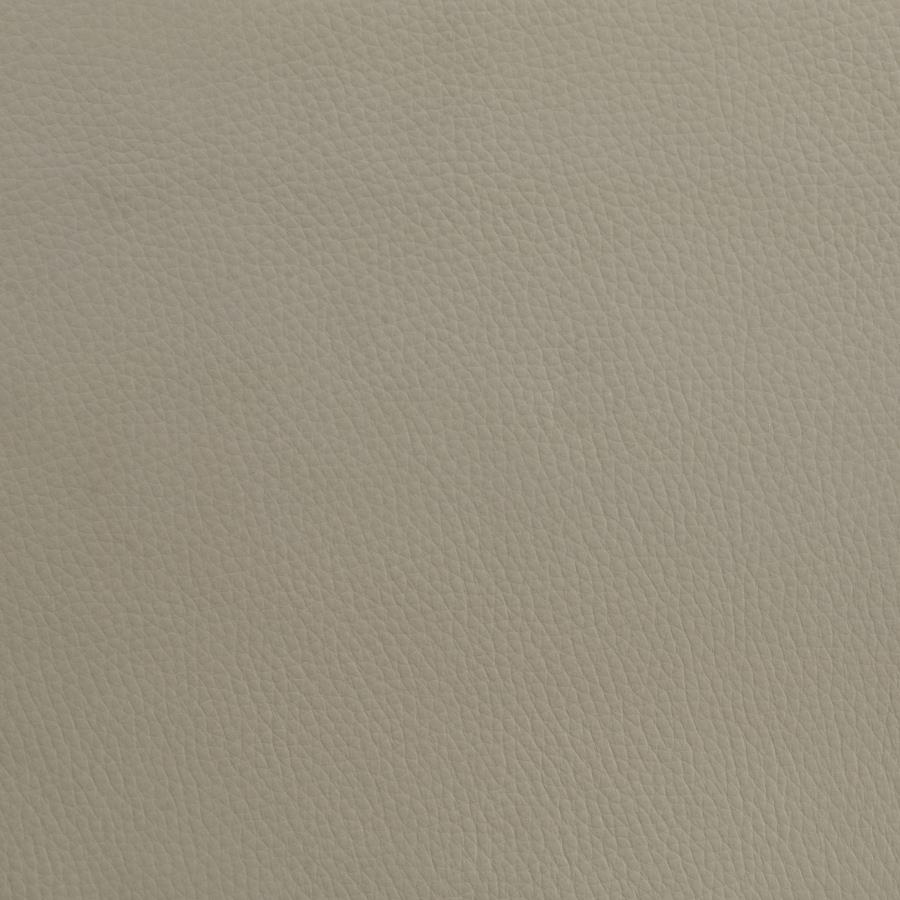 Medley Genuine Leather Queen Panel Platform Bed Tan