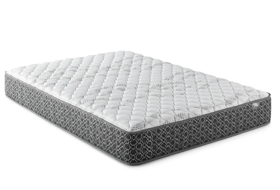 (image for) Hayes Queen Firm Tight Top Hybrid Mattress White
