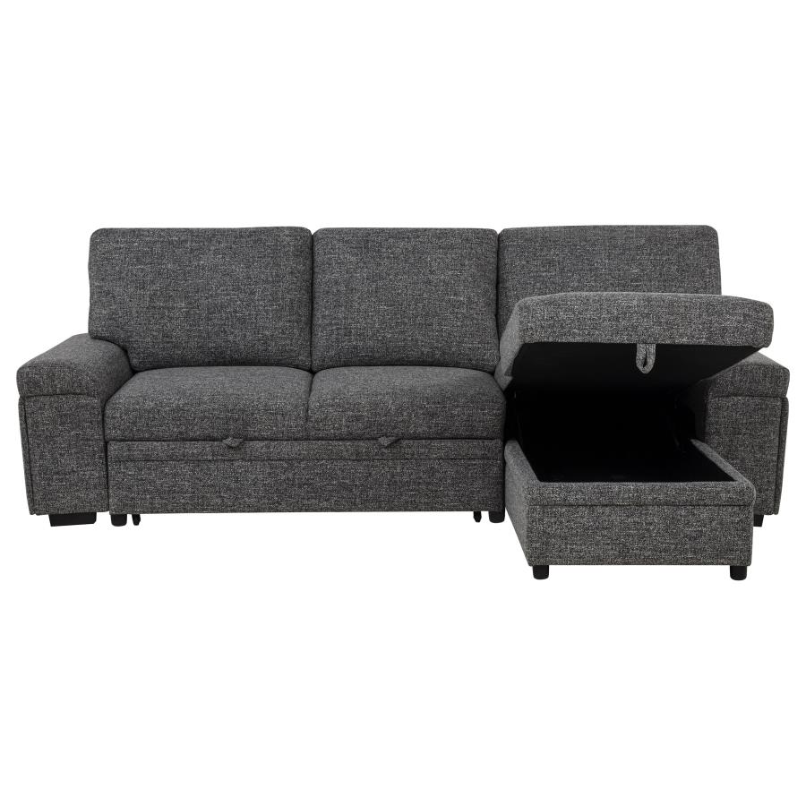 Demko Sleeper Sectional Sofa with Speaker and Storage Chaise Granite
