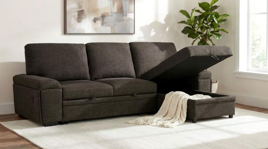 Demko Sleeper Sectional Sofa with Speaker and Storage Chaise Brown