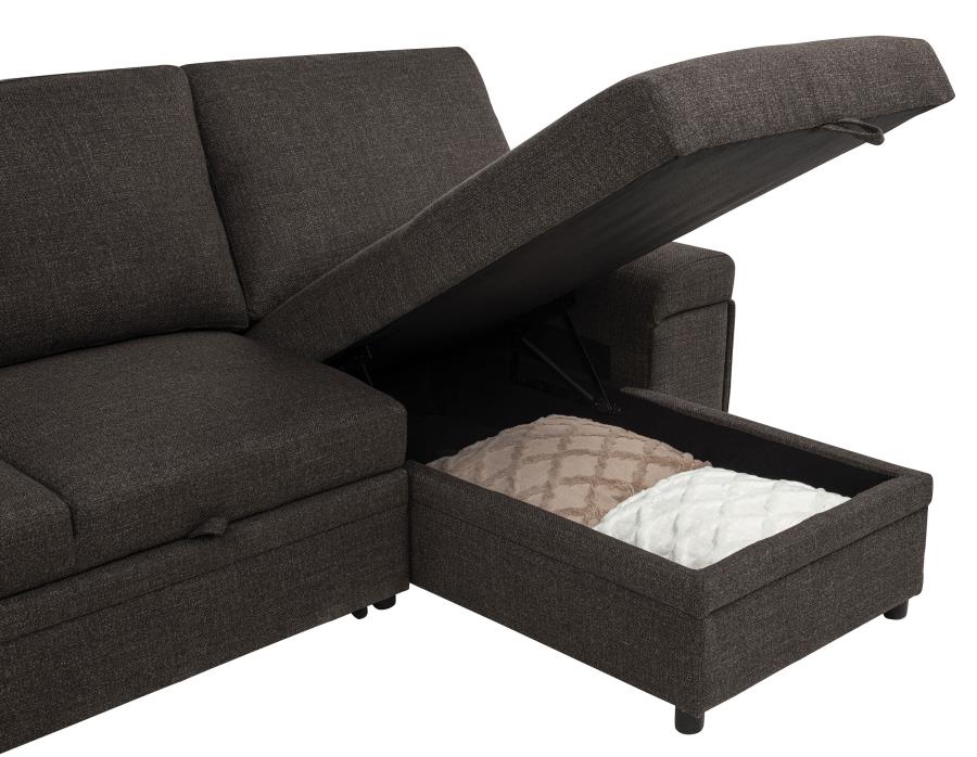 Demko Sleeper Sectional Sofa with Speaker and Storage Chaise Brown