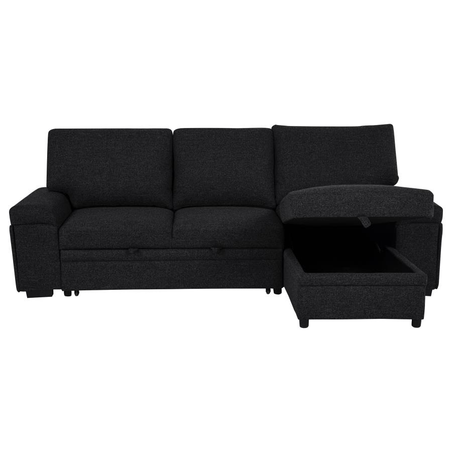 Demko Sleeper Sectional Sofa with Speaker and Storage Chaise Black