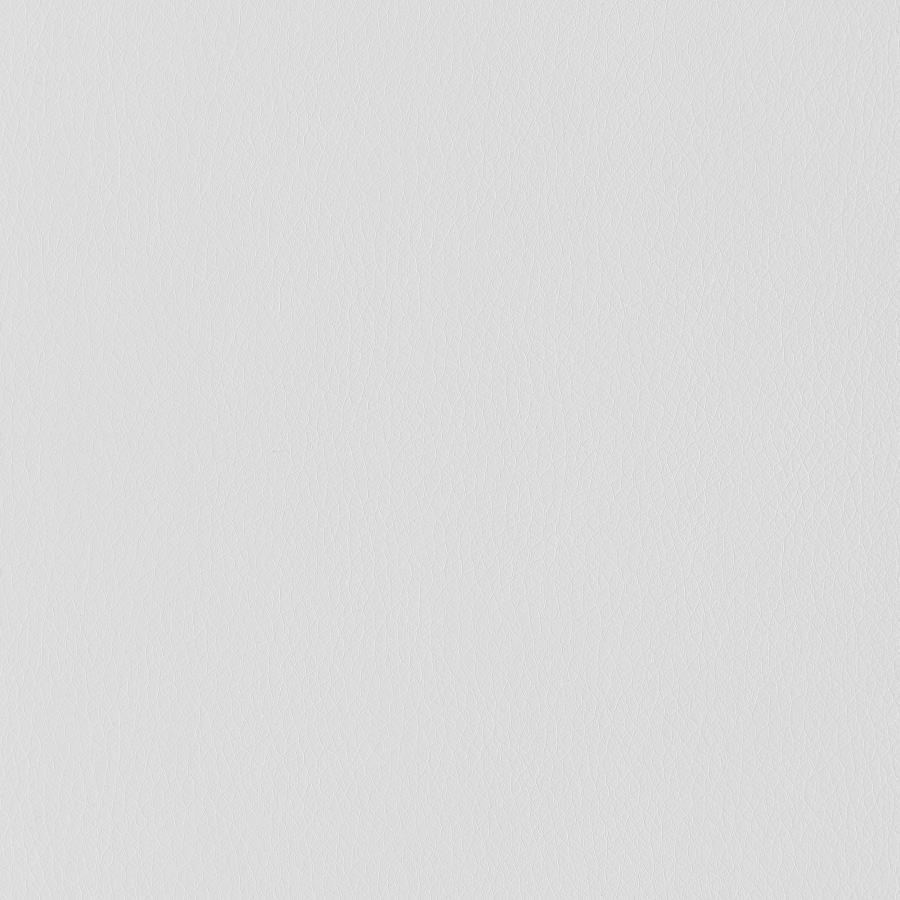 Ximena Upholstered Adjustable Mid Back Office Chair White