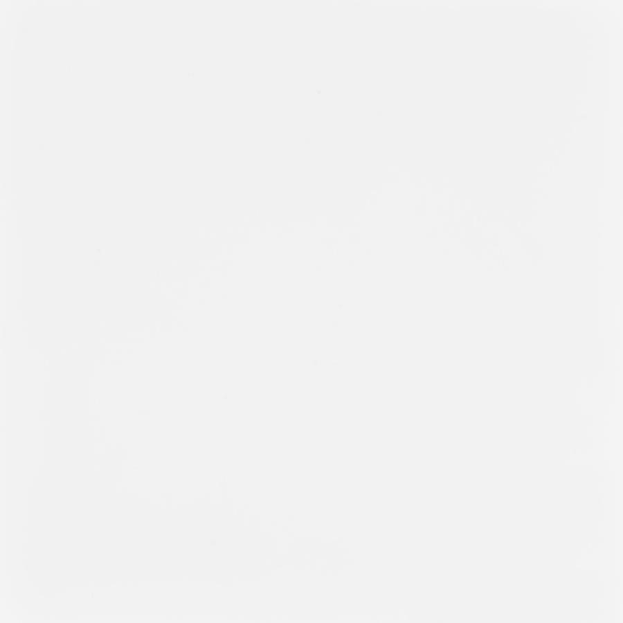 Lawtey 60-inch 2-drawer Computer Desk White High Gloss