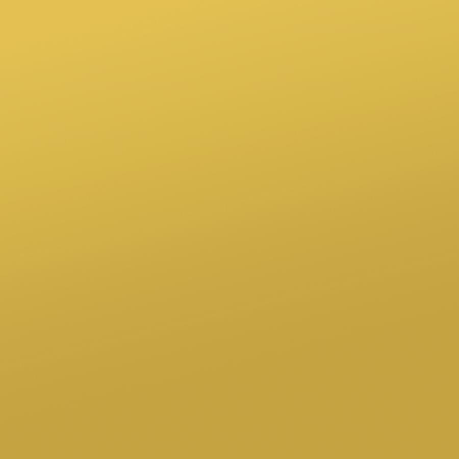 Elsa 2-door Wood Storage Accent Cabinet White and Gold