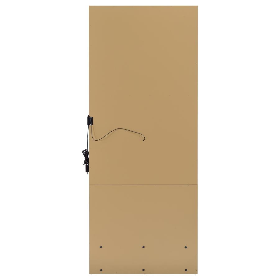 Spector 1-drawer Lighted Full-Length Floor Mirror Mango